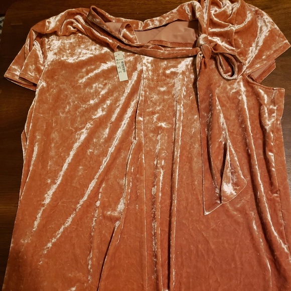 madewell crushed velvet mockneck dress